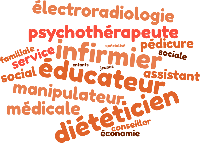 ST2S nuage de mots