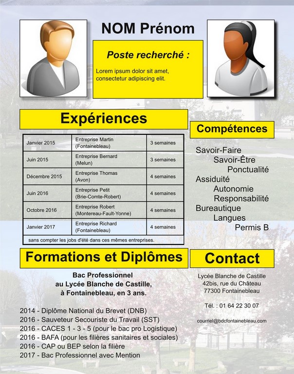 Mon futur CV
