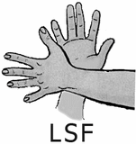 Langue des Signes Française